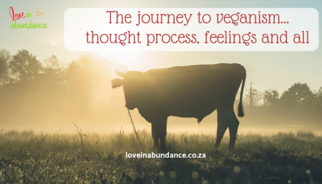 The journey to veganism… thought process, feelings and all