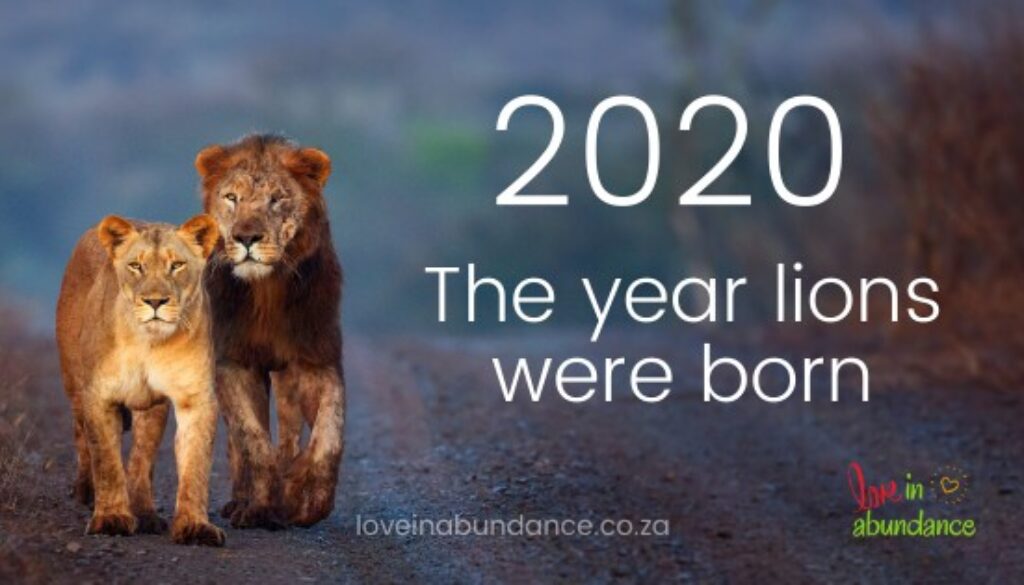 2020 a year lions were born